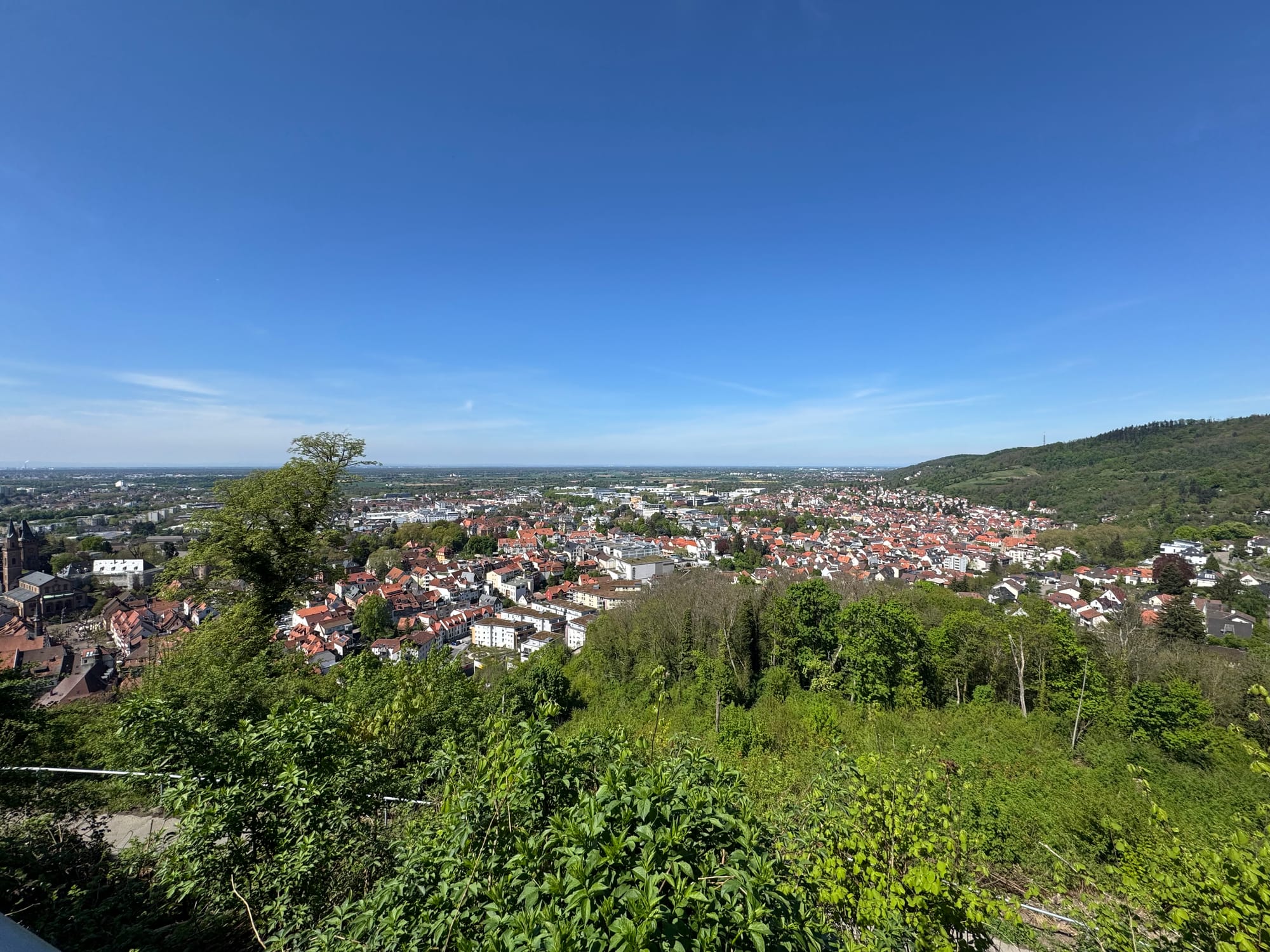 View of Weinheim from the Windeck Castle Ruins